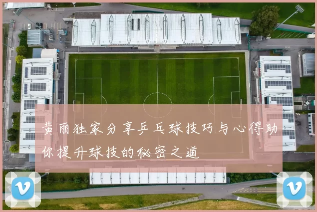 黄丽独家分享乒乓球技巧与心得助你提升球技的秘密之道