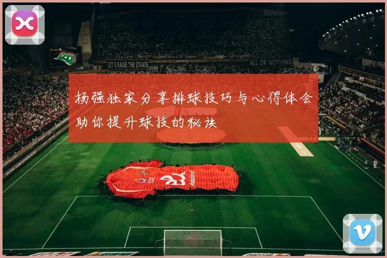 杨强独家分享排球技巧与心得体会助你提升球技的秘诀