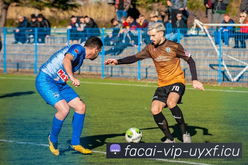 星空体育服务体系